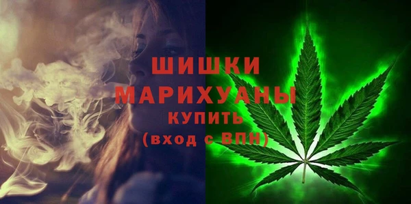 СК Зеленокумск