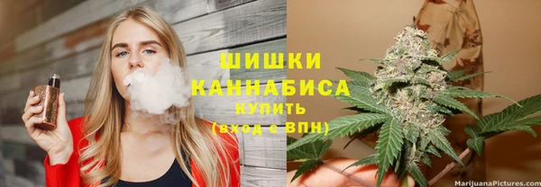 СК Зеленокумск