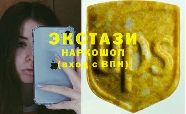 СК Зеленокумск